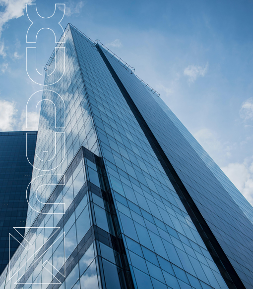Nedex Group